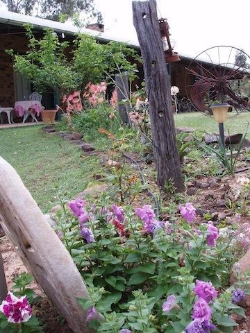 Bed and Breakfast Twilight Grove Farm Esk Exterior foto
